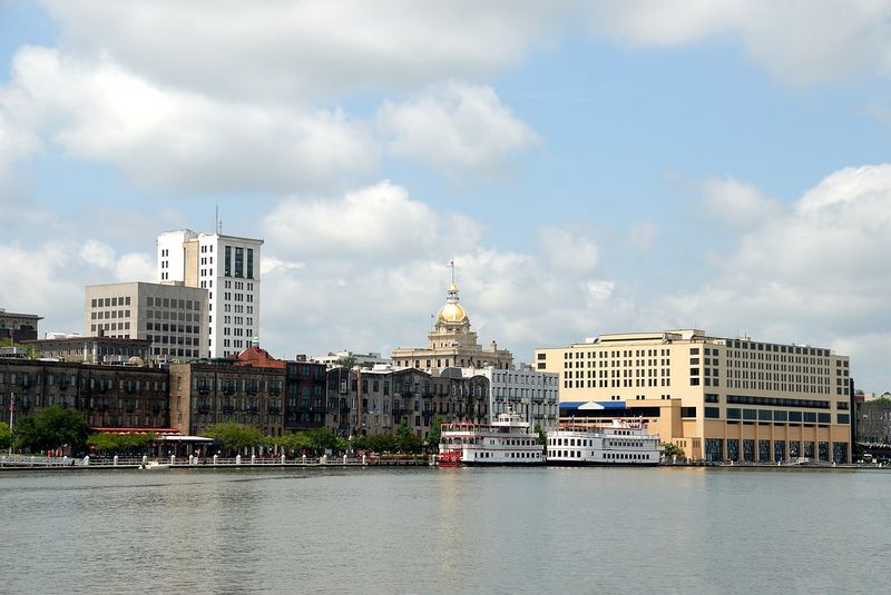 Archivo:Savannah-1583568 1280.jpg