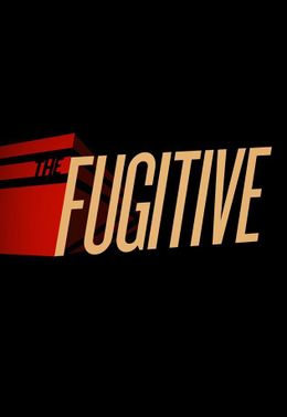 The Fugitive Serie de TV-.jpg