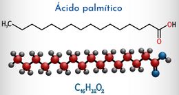 Acido palmitico.jpg