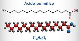 Acido palmitico.jpg