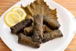 Dolmaparra.jpg