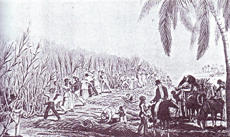 Archivo:Esclavos en el cañaveral.JPG