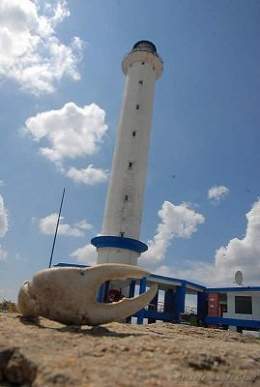 Faro-carapachibey.jpg