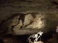 1-Cuevas de Naracoorte (Small).jpg