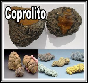 Coprolito.jpg