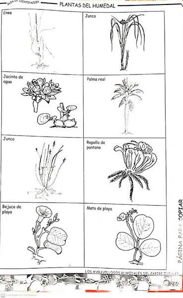 Archivo:5MaravillososHumedalesCI.jpg
