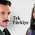 TerTurquie5.jpg