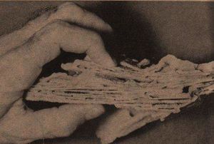 Zinolita.jpg