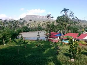 Duaba camp 2.jpg