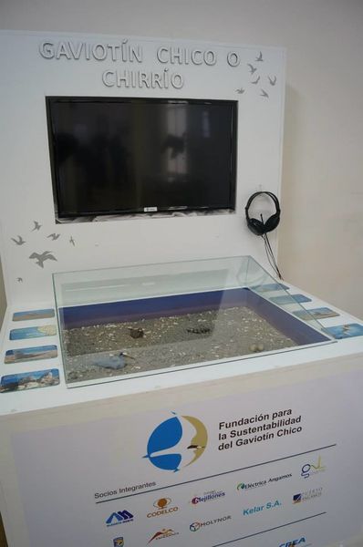 Archivo:Museomeji4.jpg
