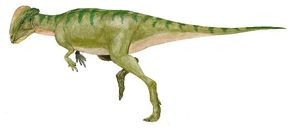Stegoceras.jpg