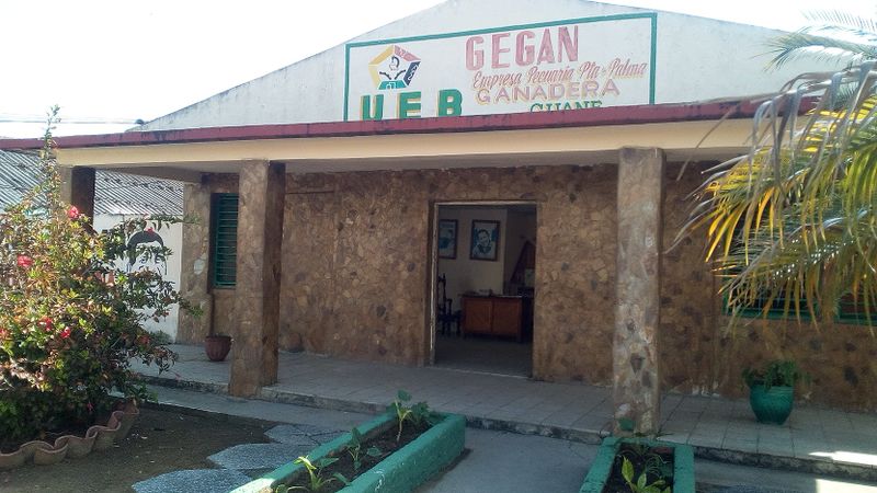 Archivo:UEB Ganadera Guane.jpg