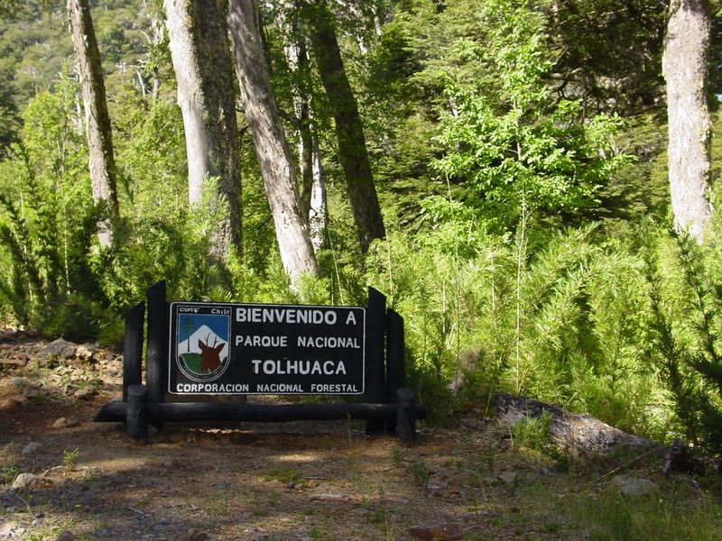 Archivo:038-Parque-Nacional-Tolhuaca..jpg