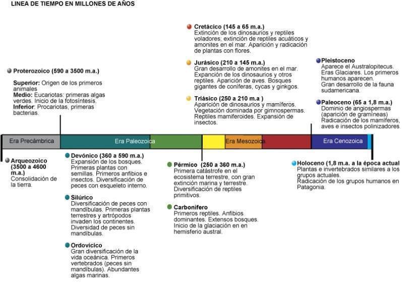 Archivo:Lineatiempo.jpg