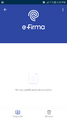 E-Firma3.png