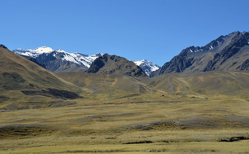 Archivo:Altiplano-andino-09.jpg