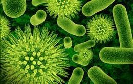 Bacteriostático.jpg