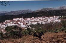 Farajanoeste.jpg