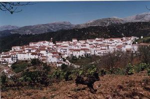 Farajanoeste.jpg