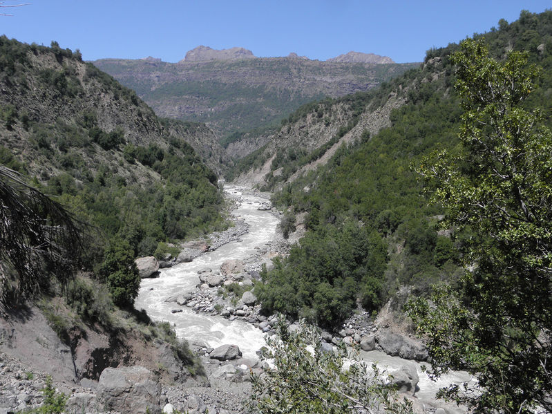 Archivo:Río Cachapoal.jpg