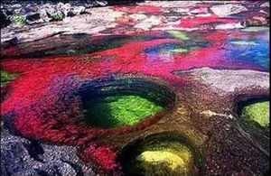 Caño Cristales.jpg