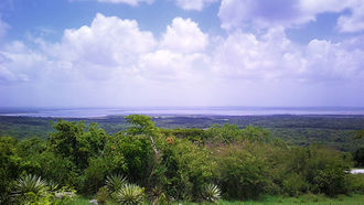 Embalse Alacranes.jpg