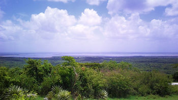 Embalse Alacranes.jpg
