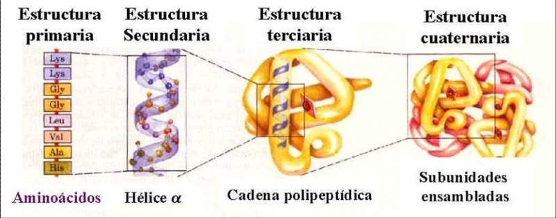 Archivo:PrincipioOM.jpg
