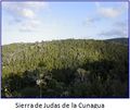 Miniatura de la versión del 09:13 5 abr 2021