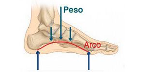 Arco plantar.jpg