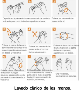 Lavado clínico de las manos.png