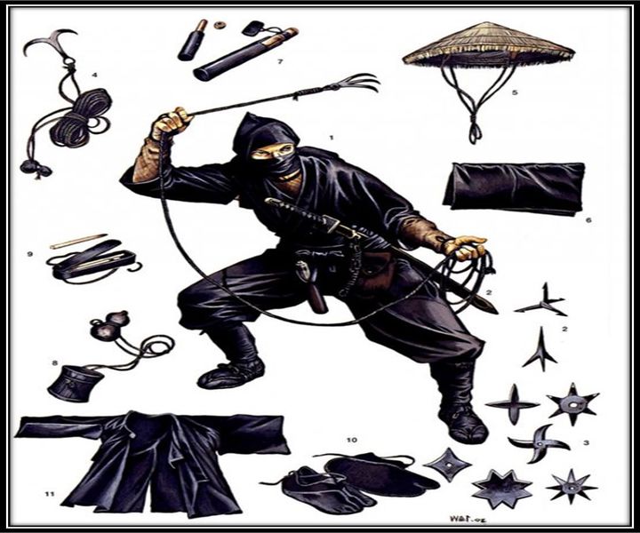 Archivo:Shinobi.jpg