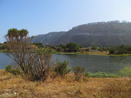 LagunaVerde 05.JPG