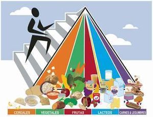 Nutricion-basica-y-sana.jpg
