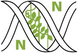 Logo sefin.png