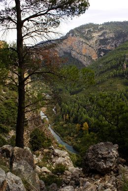 PARQUE NATURAL HOCES DEL CABRIEL1.jpg