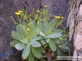 Miniatura de la versión del 16:01 13 ene 2021