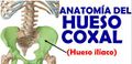 Miniatura de la versión del 10:44 24 nov 2020