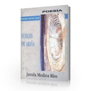 LIBRO-Huecos-de-arana.jpg
