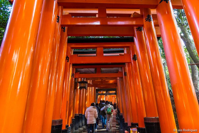 Archivo:MilPuerta.jpg