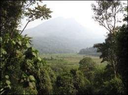 Parque kahuzibiega.jpg