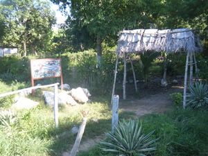 Bosque MartianoNueve Palmas.JPG