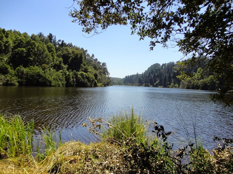 Archivo:Laguna antihuala 2.jpg
