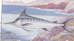 Aguja azul.jpg