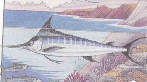 Aguja azul.jpg