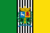 Bandera de Boituva
