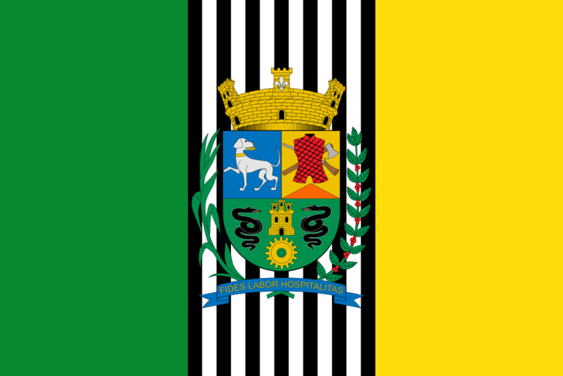 Archivo:Bandera de Boituva.png