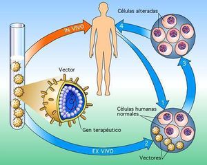 Terapia genica.jpg