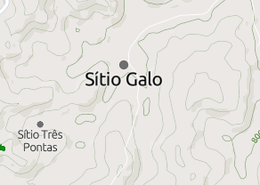 Galo s.png