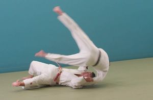 Uki waza.jpg